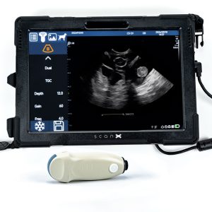 ScanX- Portable Veterinary Ultrasound Machine for Small Animal Ultrasound