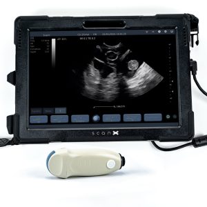 ScanX for Small Animal Ultrasound