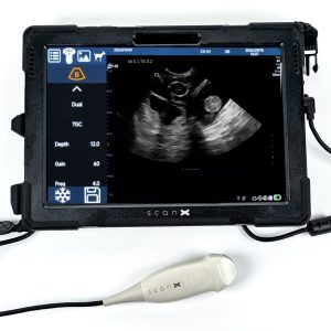 ScanX for Goat Scanning