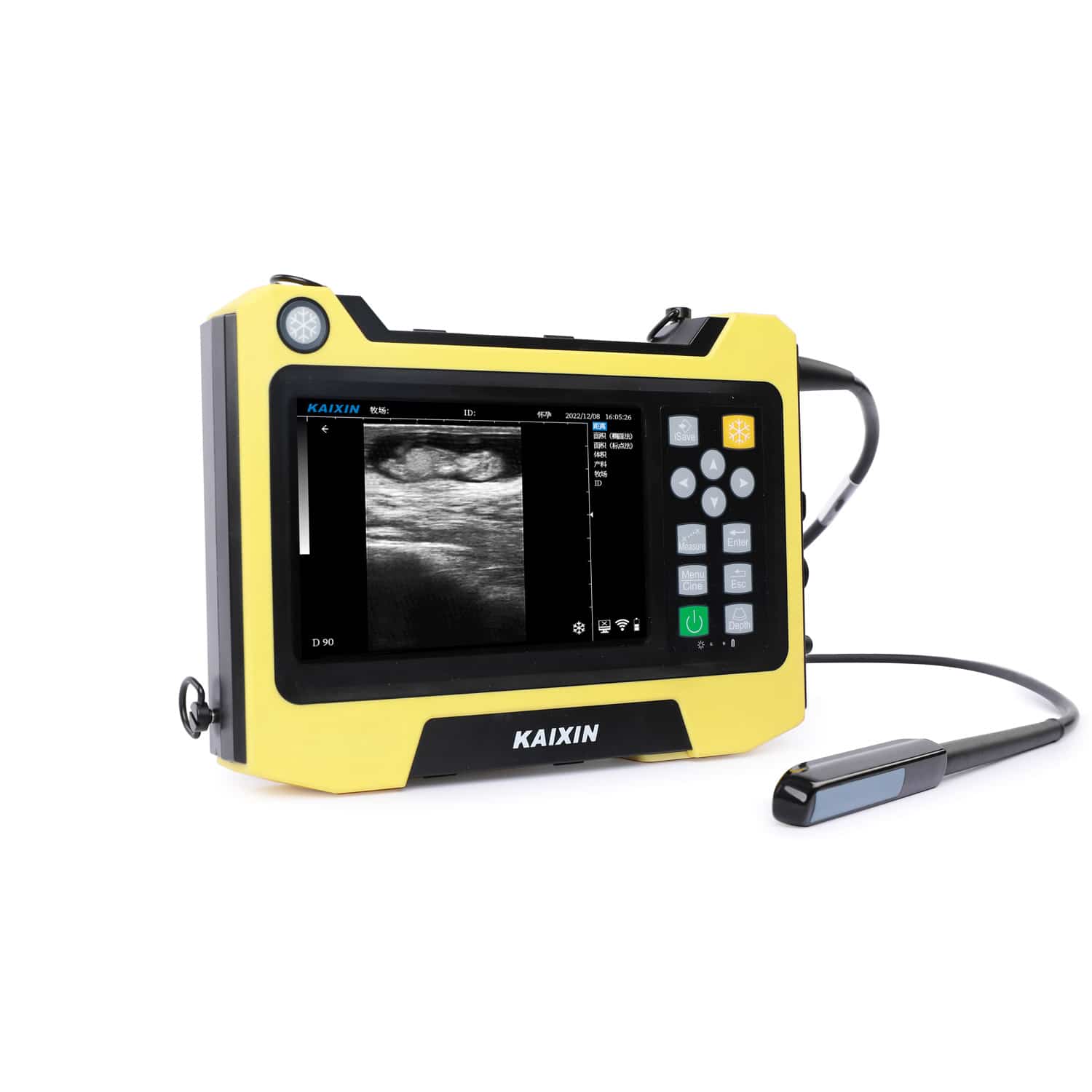 KX5600E - Large Animal Scanner
