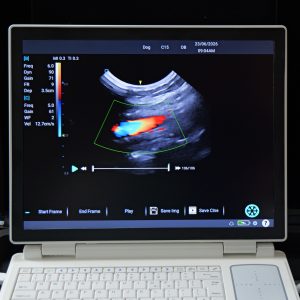 Used 2025 Scanpad with Colour Doppler